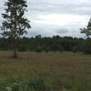 Meet your Posher, Keith